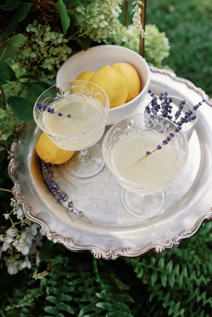 Detail video of summer cocktail served wtih ganishments at luxurious wedding